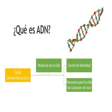 ADN DE BIOLOGIA MOLECULAR EN EL AREA ACUICOLA | PPTX