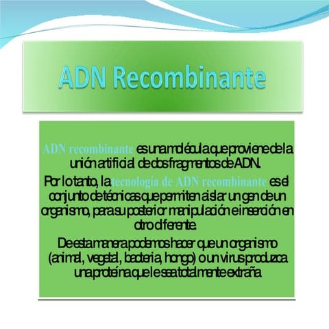 Tecnología Adn 2003 PPT