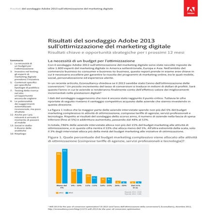 Adobe 2013 digital_optimization_survey_results_i
