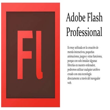 Adobe flash professional cs6 MT | DOCX