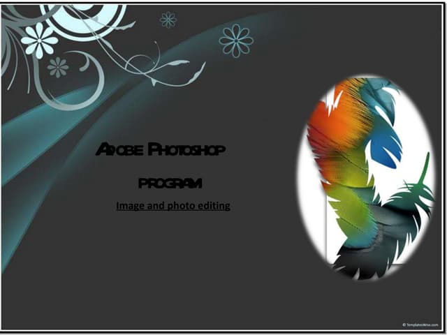 Adobe photoshop program1