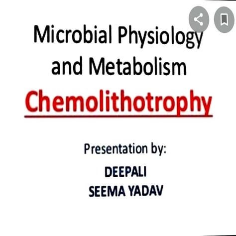 Adobe Scan 28-Jul-2022.pdf