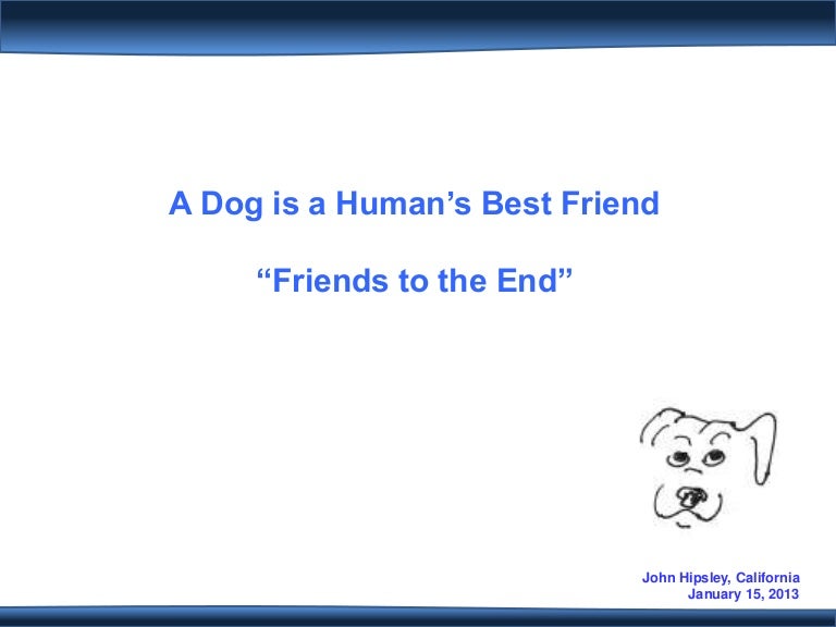 A Dog is a Humans Best Friend