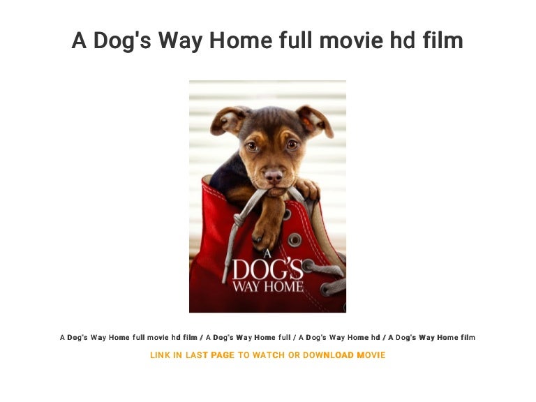 a dog's way home movie free online
