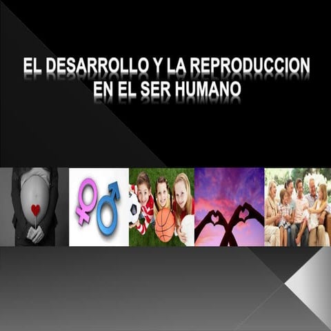 Adolescencia 7mo Brig- López