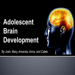Adolescent Brain Development