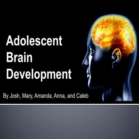 Adolescent Brain Development