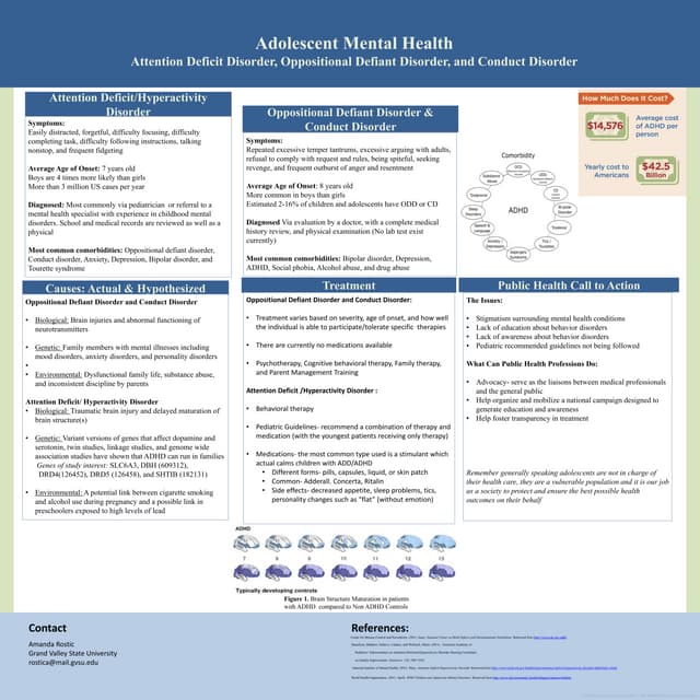 Adolescent Mental Health Presentation (2015) | PPTX