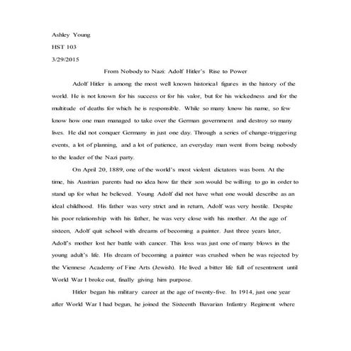 Adolf Hitler's Rise to Power