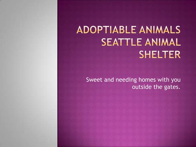 Adoptiable animals
