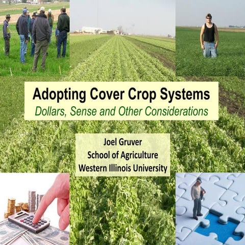 Adopting Cover Crop Systems