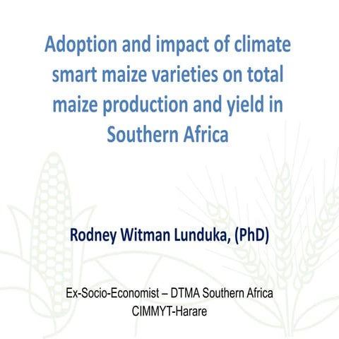 Adoption and impact of climate smart maize varieties on total maize ...