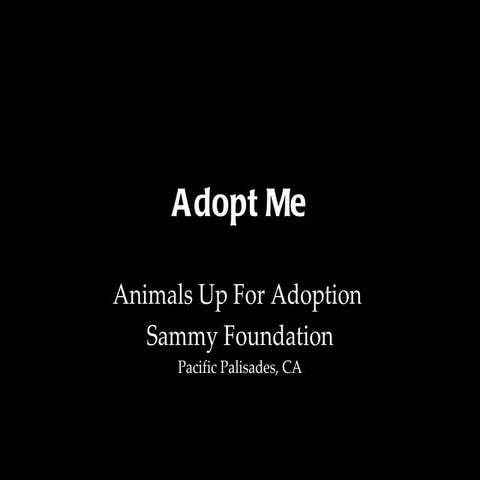 Adopt me