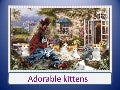 Adorable kittens
