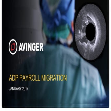ADP Payroll Project  