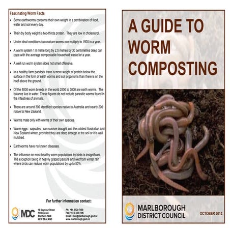 A Guide to Worm Composting  