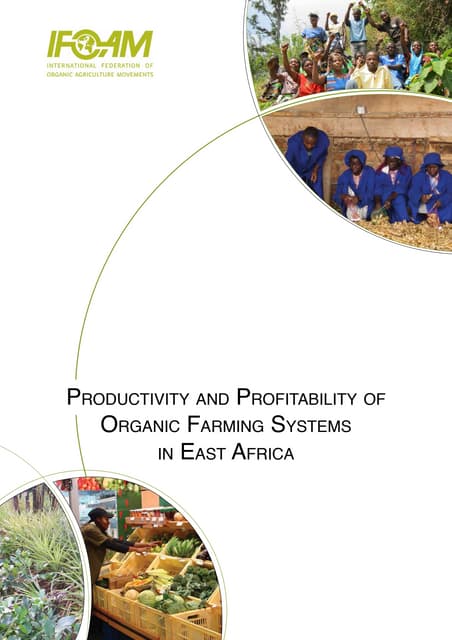 Productivity and Profitability of O...