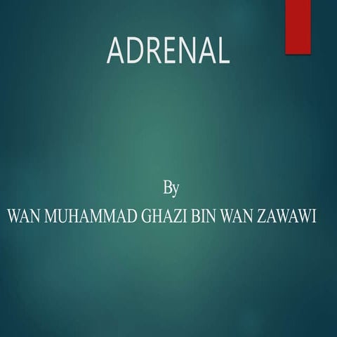 Adrenal