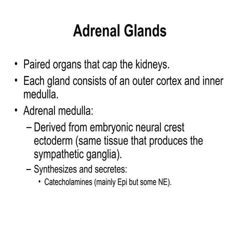 this is a general physiology ppt on ADRENAL.ppt