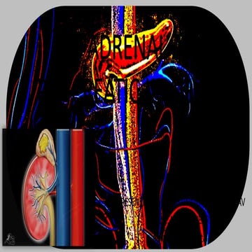 CT scan adrenal  and pancreatic protocol.pptx