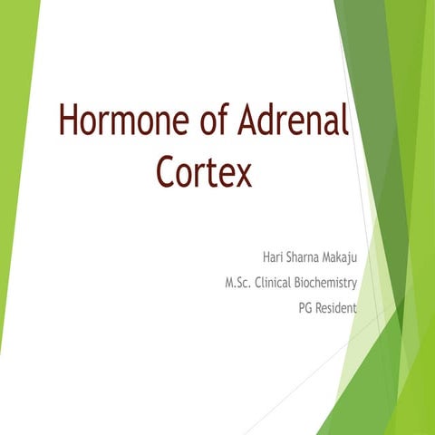 Adrenal cortex