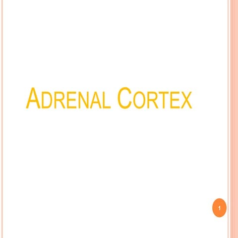 Adrenal Cortex.pptx