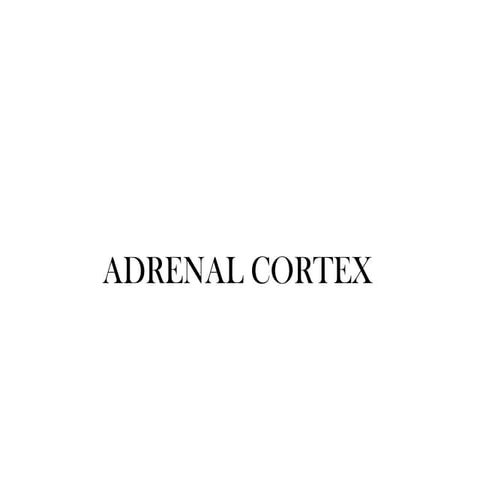 ADRENAL CORTbsbsbshEX 3 & 4 - 22MBBS.pptx