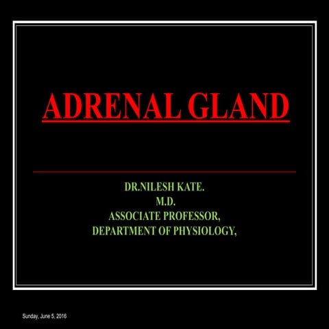 ADRENAL CORTEX AND GLUCOCORTICOIDS I
