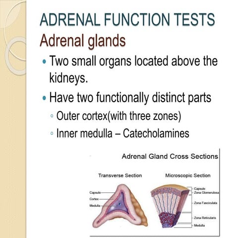 Adrenal Function Tests-3.pptxwhfbdqbfwwfjgwngnegenhndngssfb
