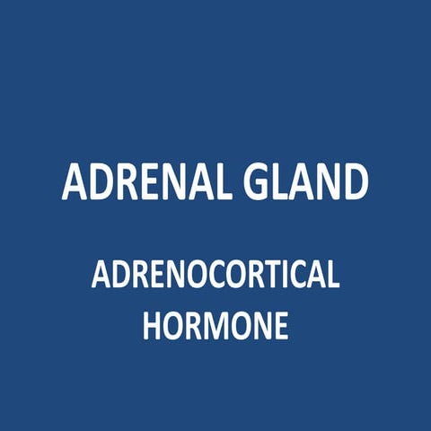 Adrenal gland