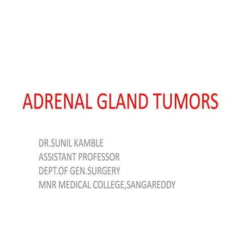 Adrenal gland
