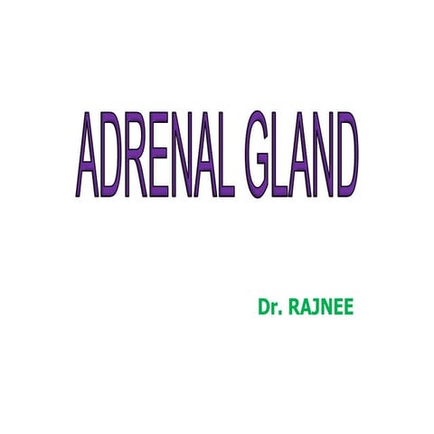 Adrenal gland 