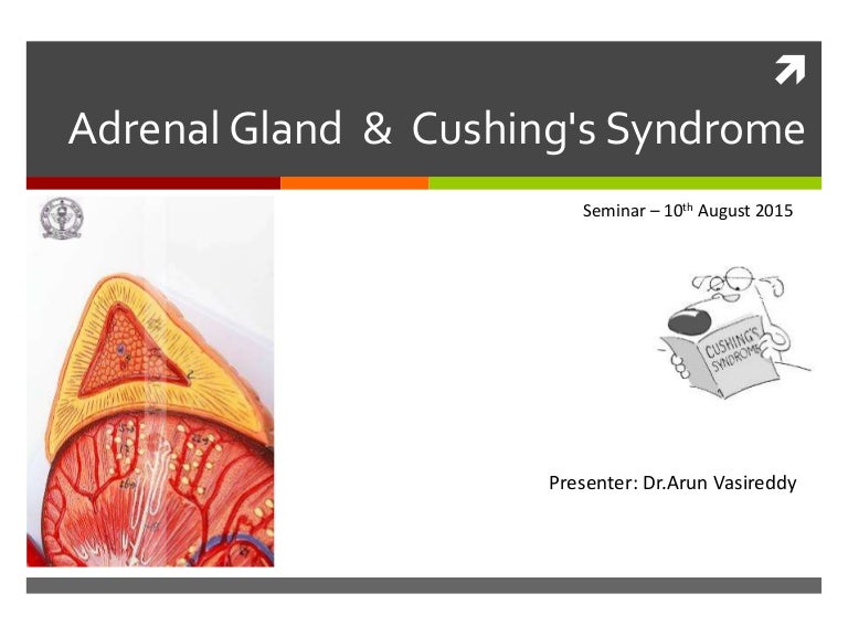 Adrenal gland & Cushing's Disease Seminar August 2015