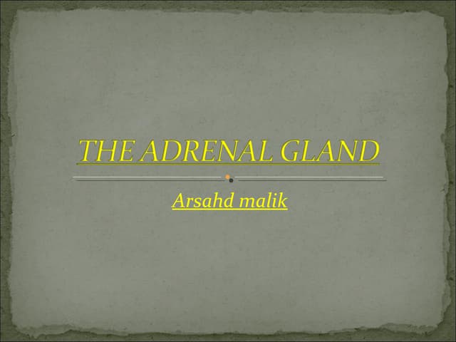 Adrenal gland lecture