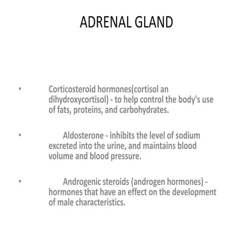 Adrenal gland new