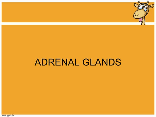 Adrenal glands