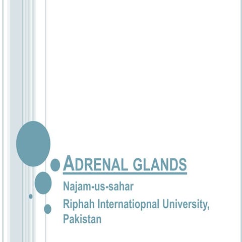 Adrenal glands