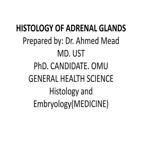 HISTOLOGY OF ADRENAL GLANDS
