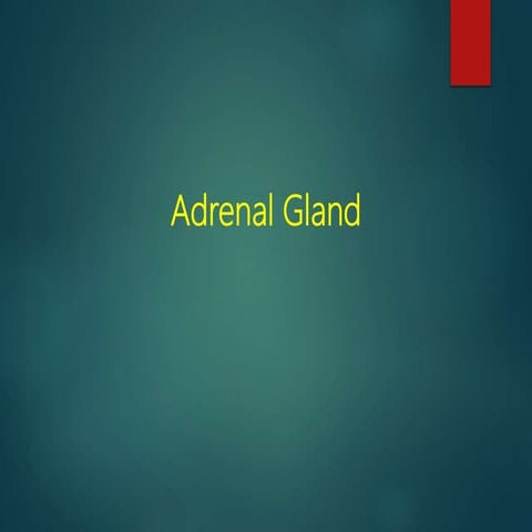 Adrenal glands