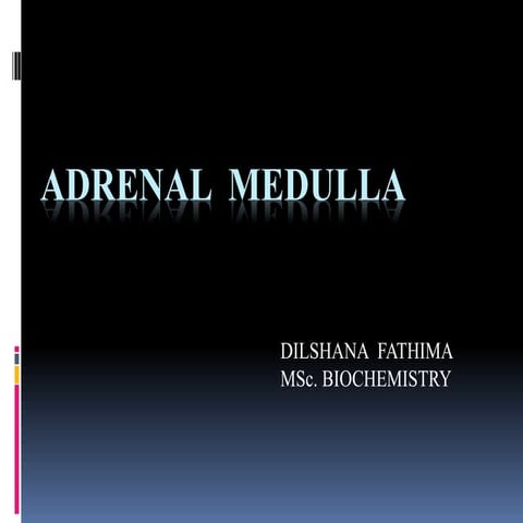 Adrenal  medulla