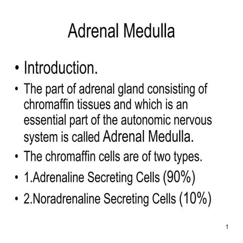 Adrenal Medulla.ppt