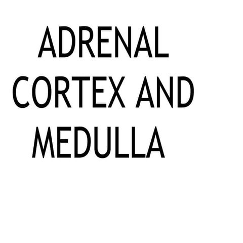 Adrenal, pancreas[1]