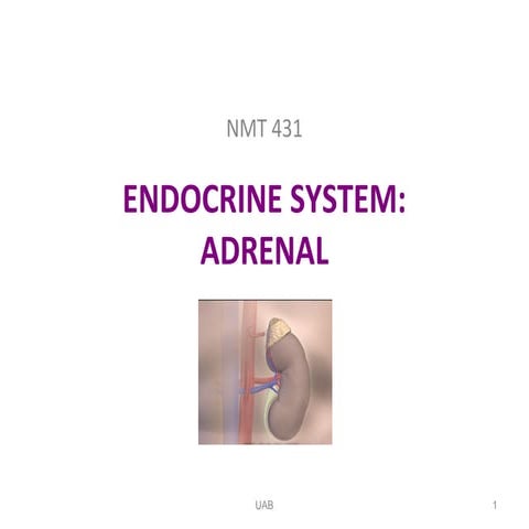 Adrenal &amp; parathyroid
