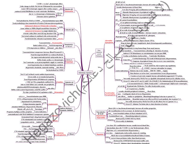Adrenergic agonists (Sympathomimetic drugs).