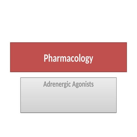 Adrenergic Agonists drugs affect    pptx