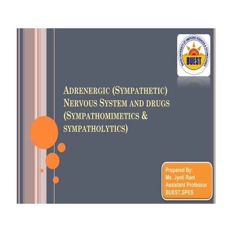 Direct, Indirect and mixed acting Sympathomimetic agents | PDF
