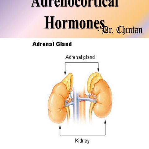 Adrenocortical hormones