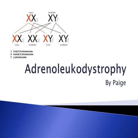 Adrenoleukodystrophy