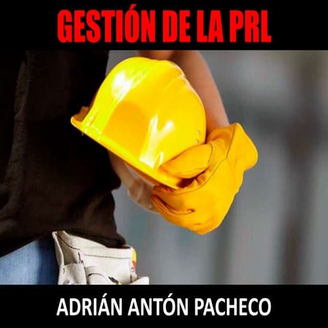 Prevención de Riesgos Laborales en la Empresa
