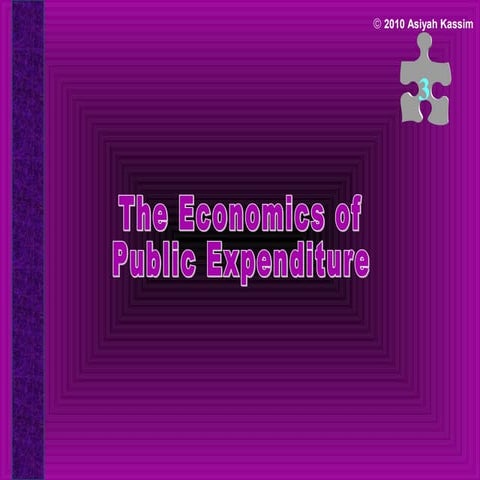 public expenditure